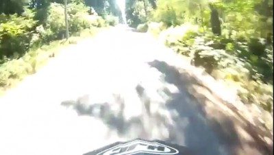 Жив! Цел! Олень!