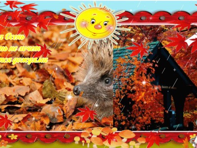 Осенний дождь