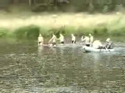 Форель на нересте