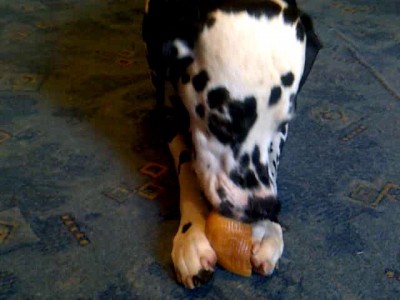 Аристократ - никак не меншье!