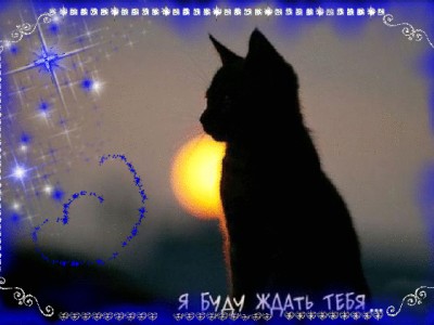 я буду ждать тебя