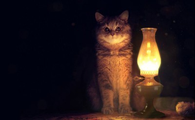 -Настало время (ну вы поняли...)