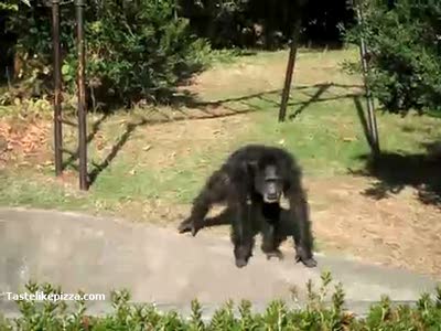 Классный отжиг