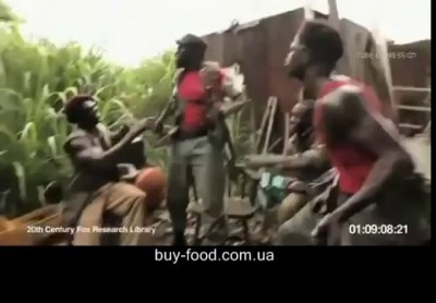 обезьяна с автоматом