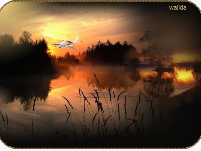 Черная ночь.