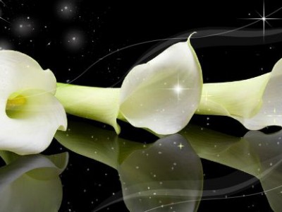 Если в сердце живет любовь...