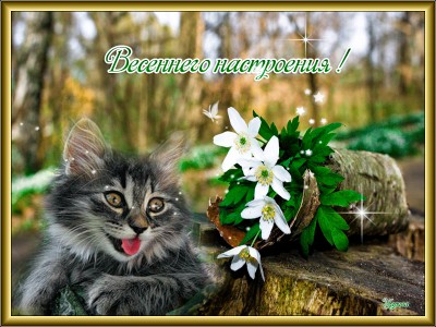Весеннего настроения !