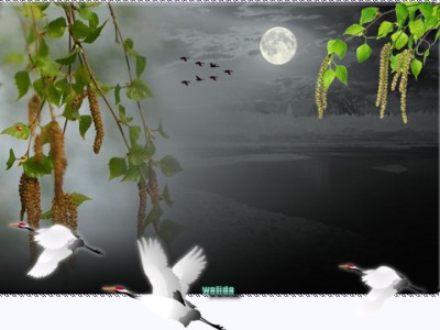 Весна идет!