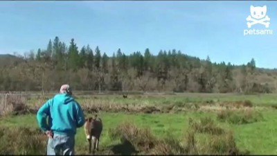 Чужие на районе