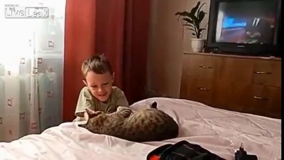 Диогрался с котэ