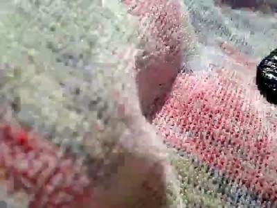 Дядя Толик не удержался