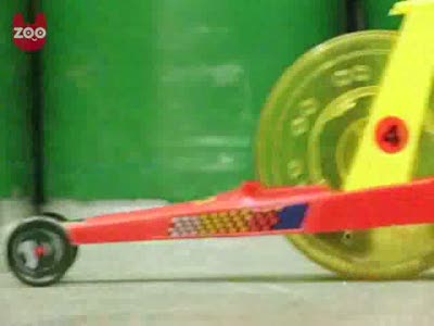 Хомяки - гонщики