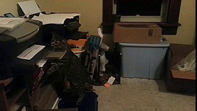 Офис-менеджер