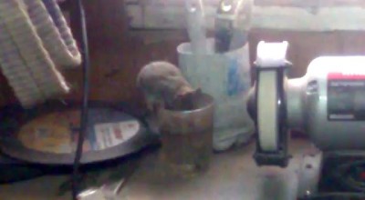 Мышь в наглую пьет из стакана.mp4