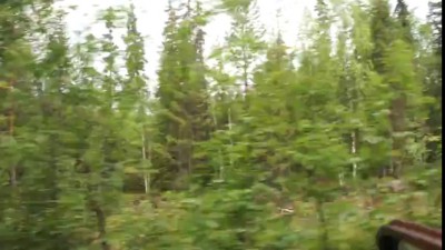 в лес на дрезине