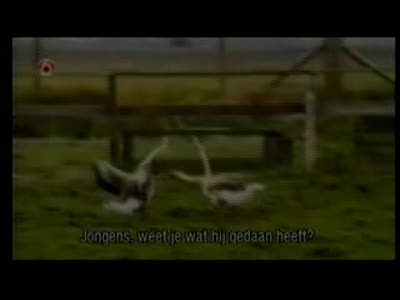 Гусь против коня