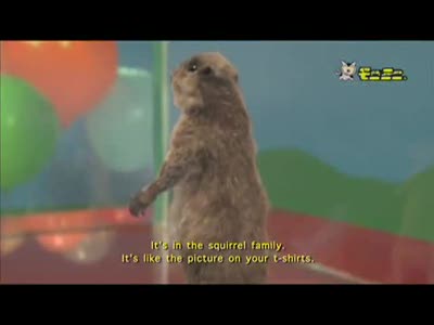 Ну очень опасный зверек