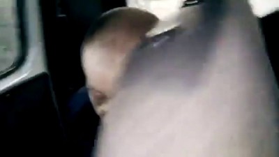 Вы оскорбляете сотрудника полиции (18+)