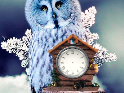 Зимние флеш часики