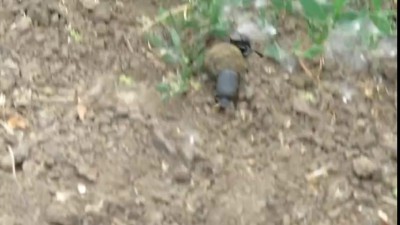 Каждое утро!