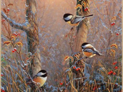 Звуки природы