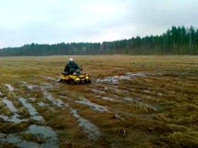 Квадроцикл в болоте