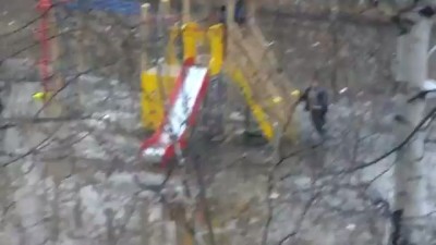 Будущее России