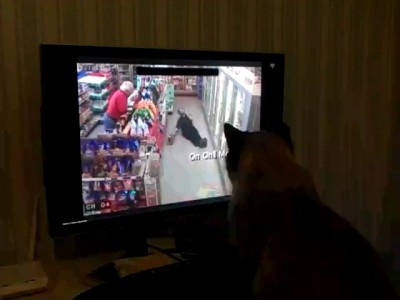 Наш кот сочувствует этому парню=)