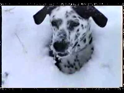 Ого сколько снега!