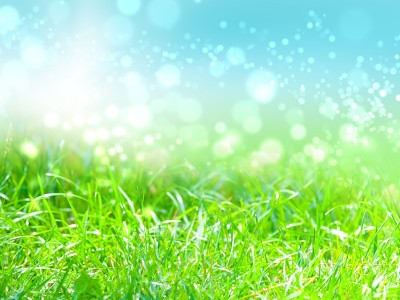 Первая весна