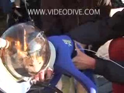 Кот-подводник