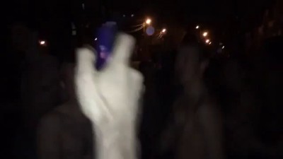 Самцы в ростове