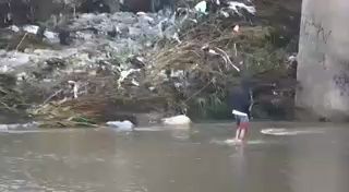 Забавный рыьолов