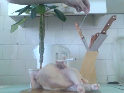 Раста-кур)))