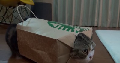 Бумажный пакет