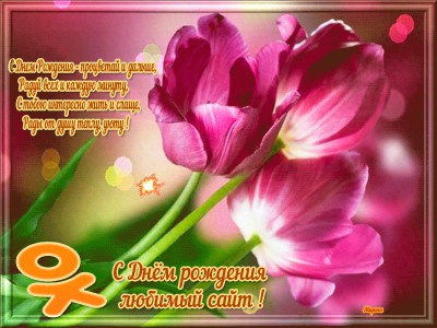 С днём рождения любимый сайт !