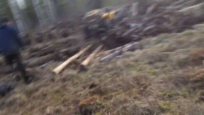 Квадроцикл