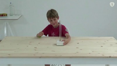 Человек vs.обезьяна