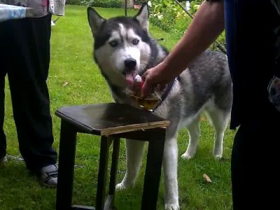 с пятницей вас