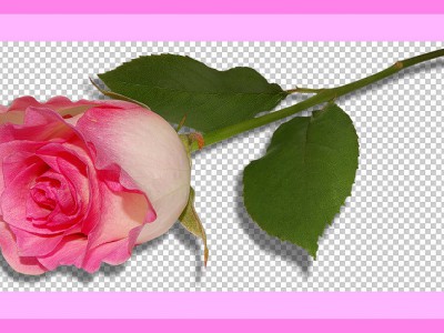 Pozdrawiam -  Поздравления