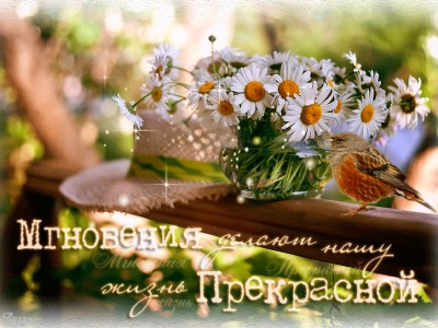 Прекрасного дня!