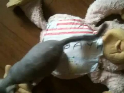 Привет с Донецка