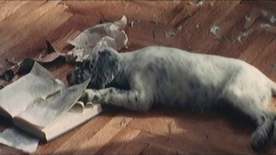 Белый Бим черное ухо