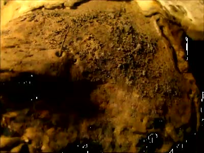 BOROVIK ERALASH - ТАК-ТО НАШ...