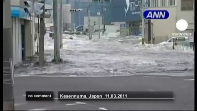 Землетрясение и цунами в Японии (март 2011)