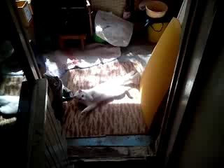 VID20130517_143323