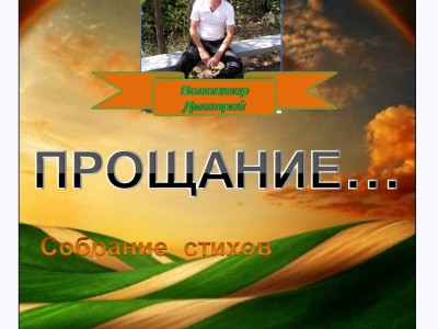 ПРОЩАНИЕ...(Волонтир Д)