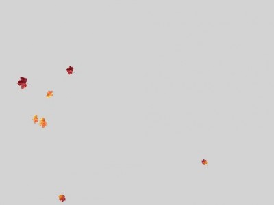 Листики кружатся