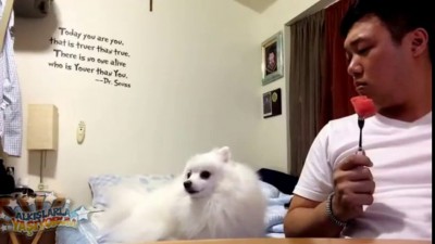 Я слежу за тобой