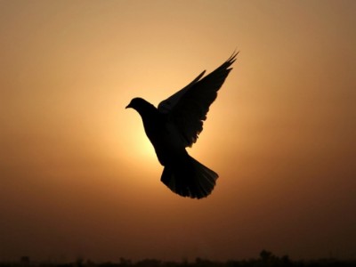 признание в любви